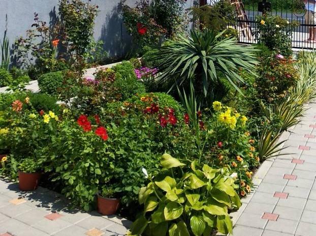Vila Mila Riverside Apartments Smederevo Zewnętrze zdjęcie